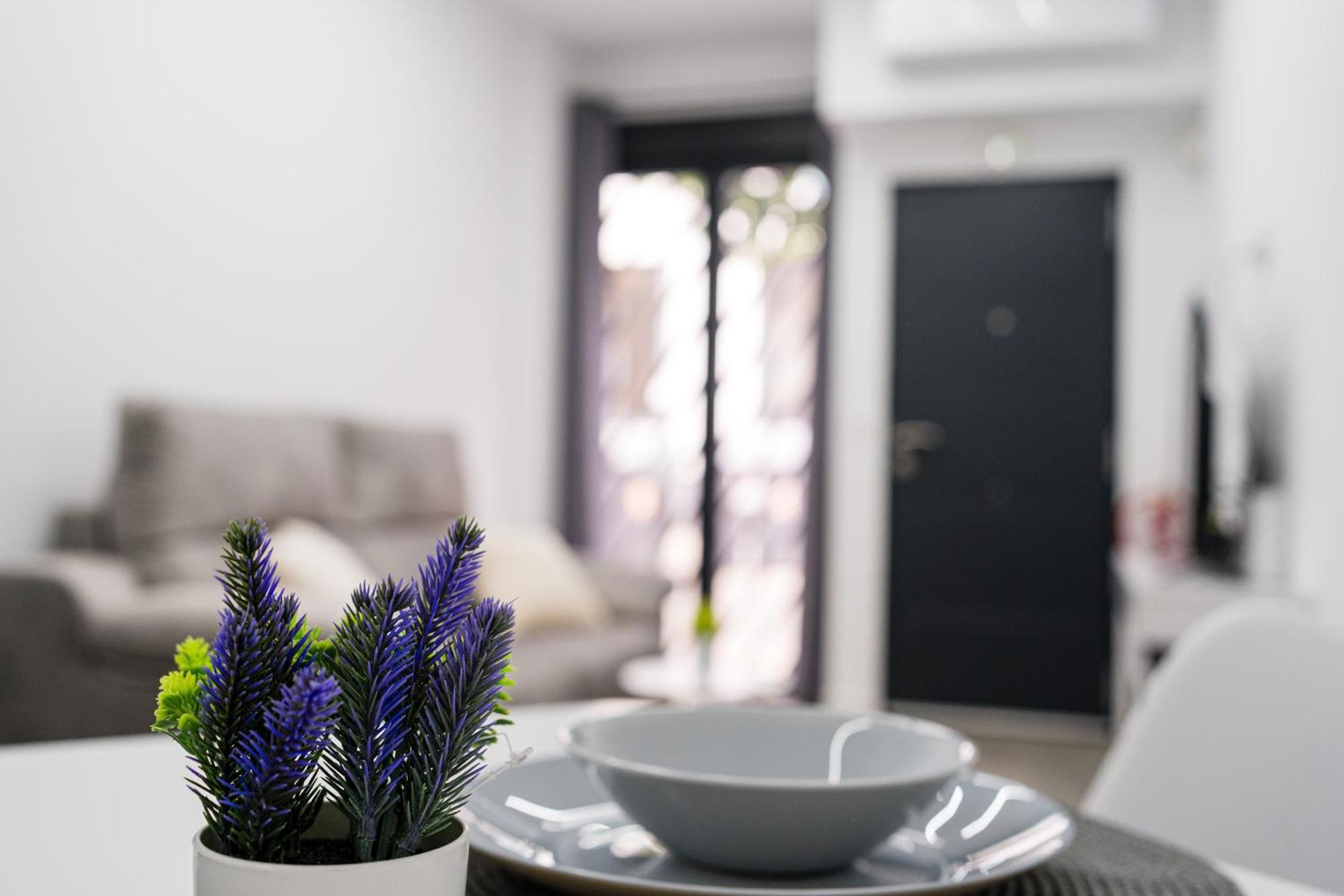 San Rafael Apartment