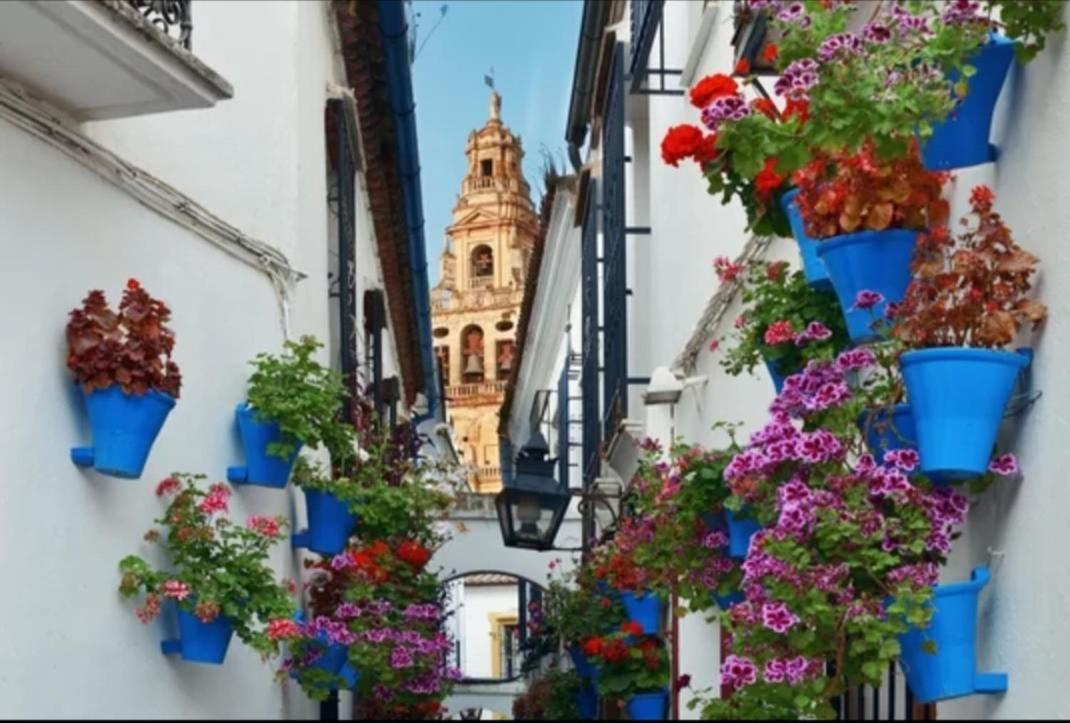 San Rafael Apartment Cordoba
